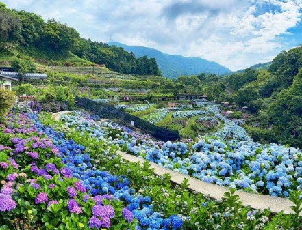 大只500平台靠谱吗