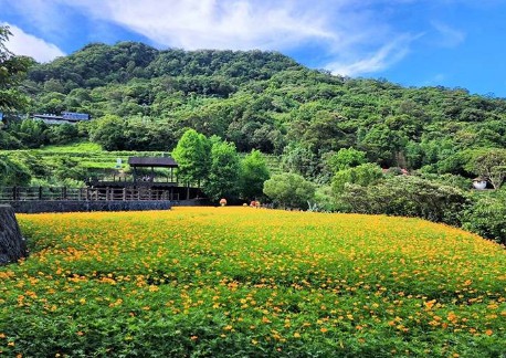 大只500平台靠谱吗