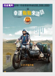 金牌大只是什么网站