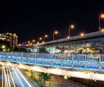大只500