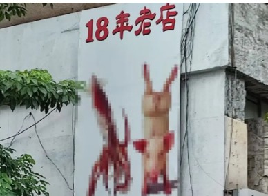 大只500登录中心