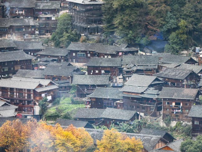 大只马是什么