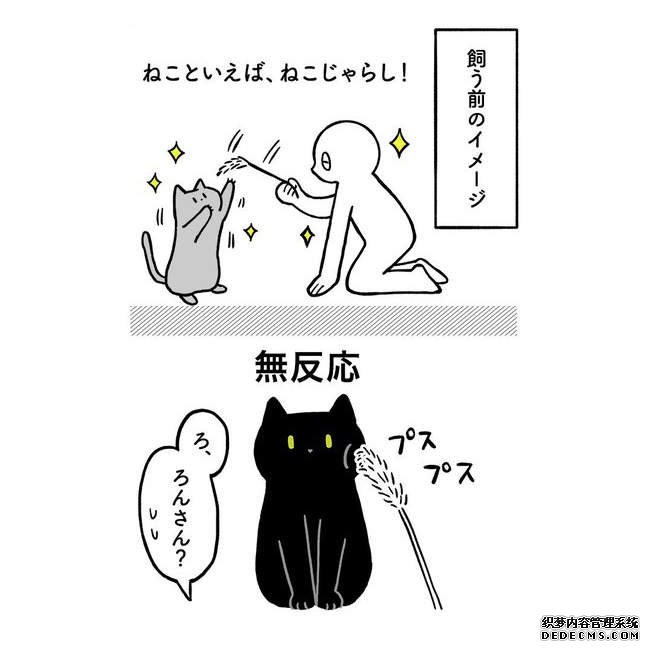 欧亿网址 《养猫前
