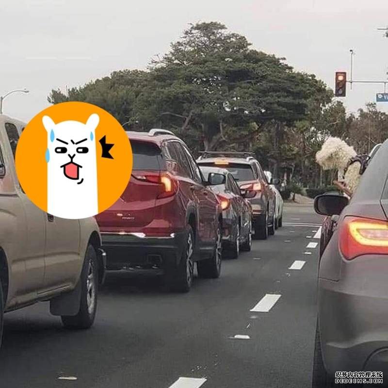 "欧亿平台有信誉吗 的狗》咬