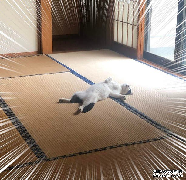"欧亿平台有信誉吗 颱風天家中出
