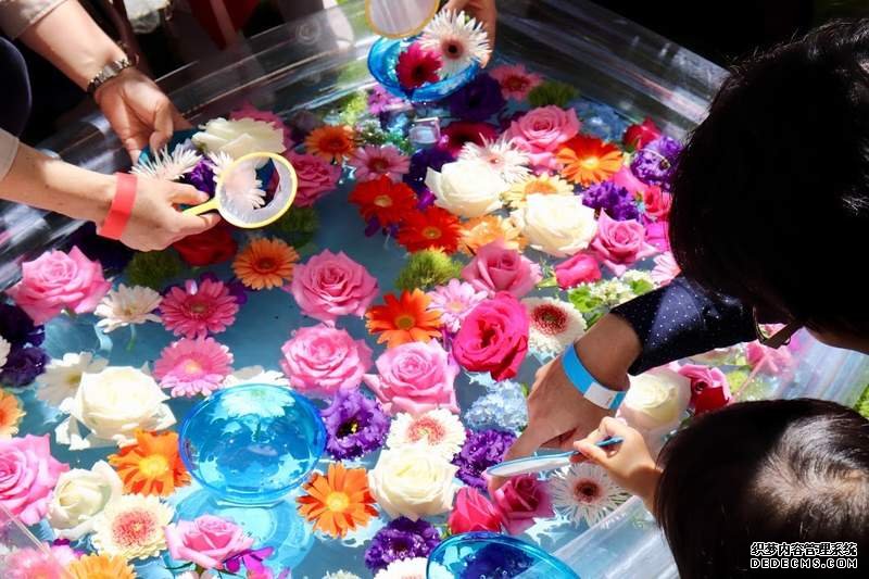 欧亿注册网址 《日本祭典遊戲進化》