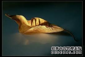 杏耀好文 洗手间里的