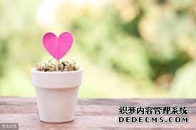 198彩代理 修剪欲望