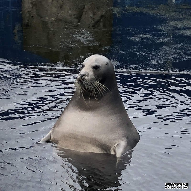 198²Ê´úÀí Ϊʲôȥˮ×å¹Ý