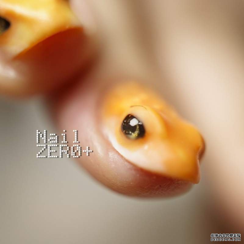 欧亿账号注册 爬行动物的指甲不