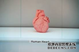 杏耀精选