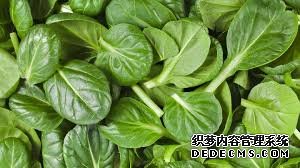杏耀平台