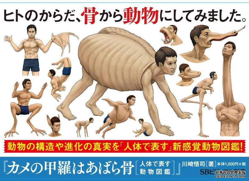 大只500注册
