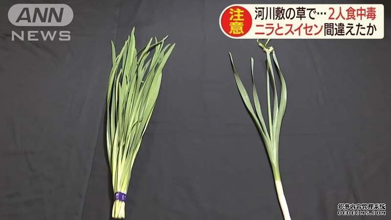 大只500注册网址