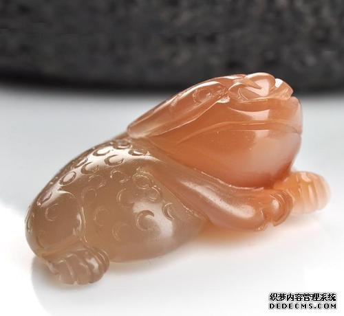 大只马是什么