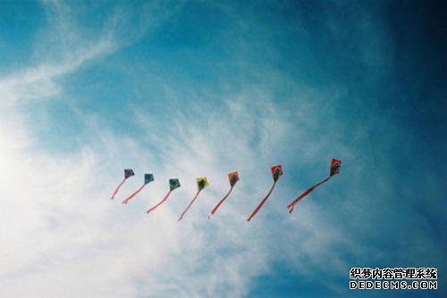 大只马是什么