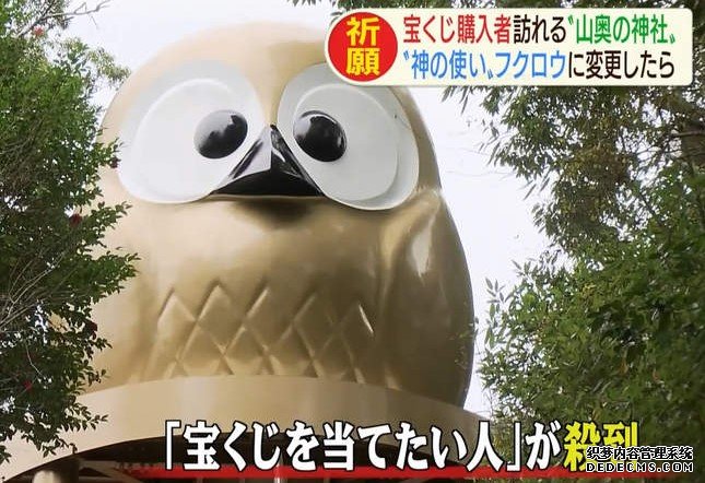 大只500注册平台