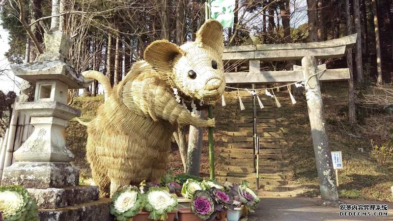 怎么注册大只500代理
