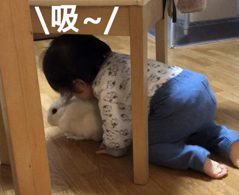 大只500平台好吗
