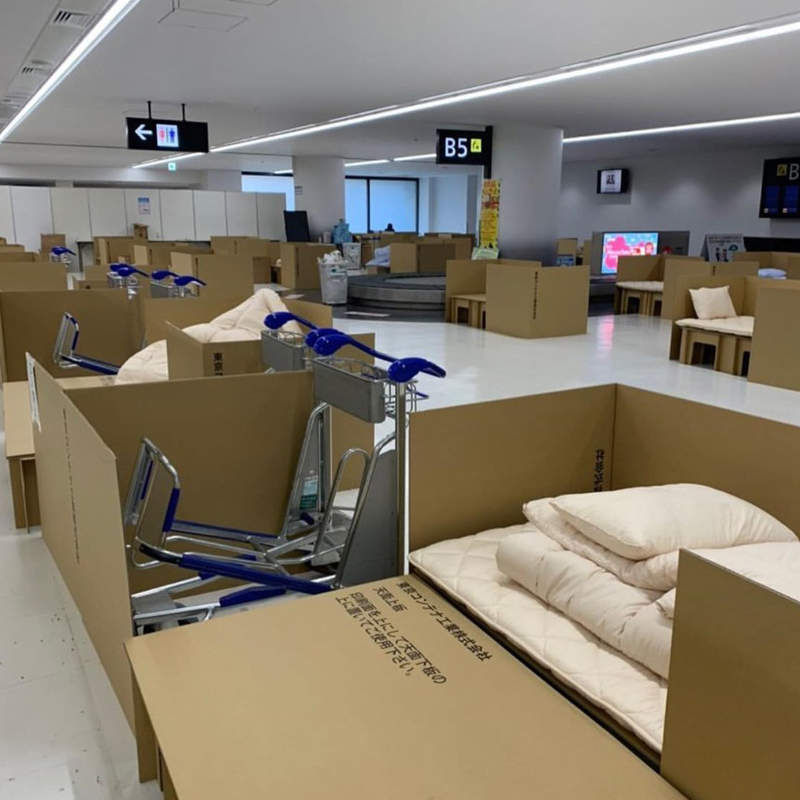 大只500平台注册链接