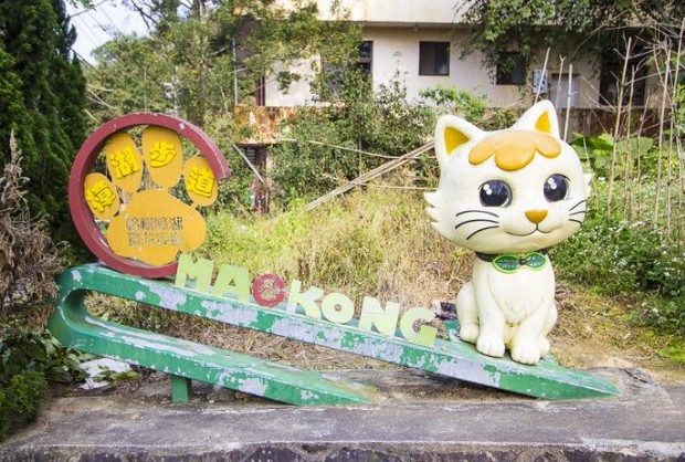 大只500怎么代理