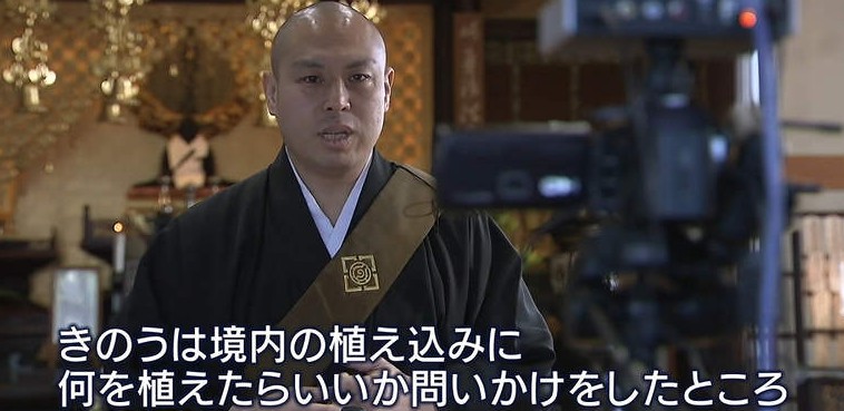 关于注册大只500