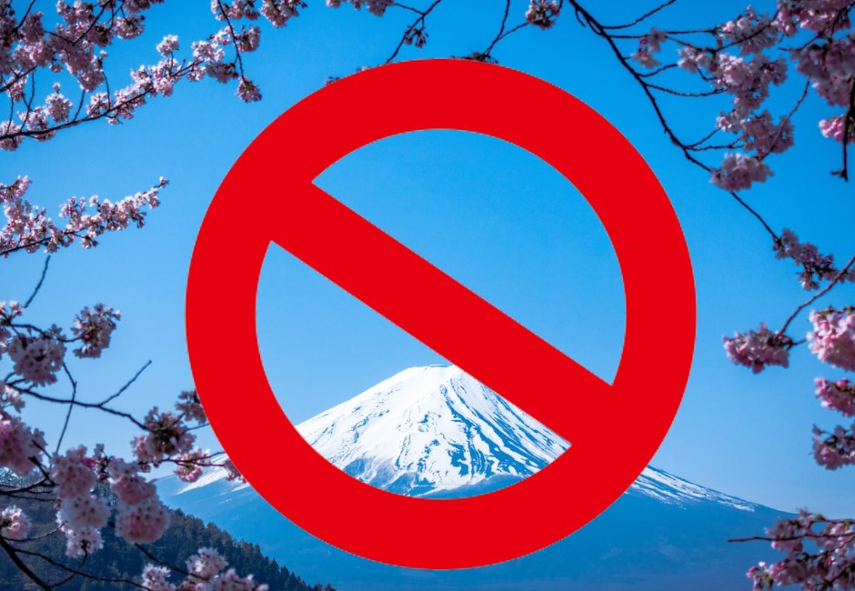 手机大只500登录