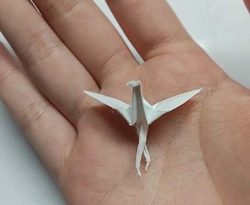 大只500注册
