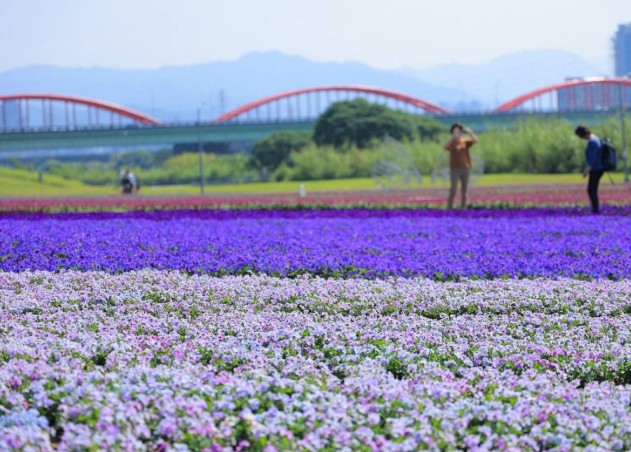 大只500怎么样