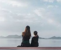 大只马是什么