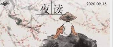 大只马是什么