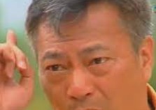 大只马是什么