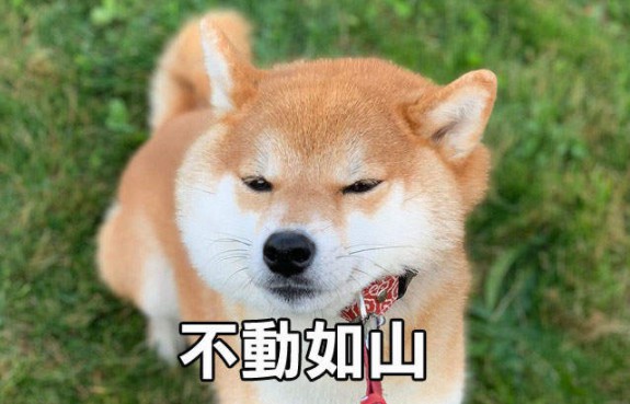 大只500平台怎么样