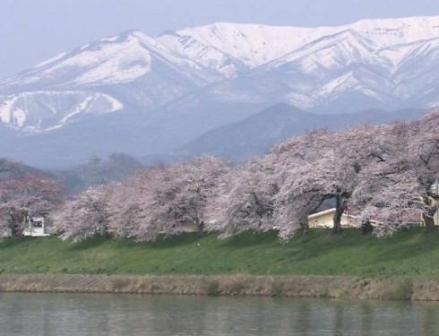 大只500代理