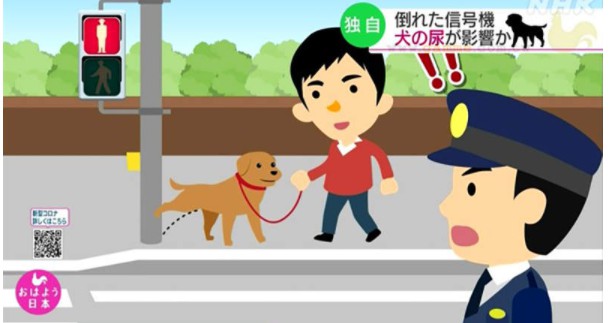 大只500平台好吗