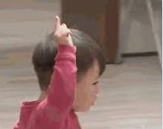 大只马是什么