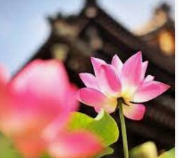 大只500平台