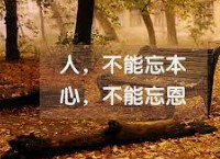 大只500招商