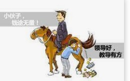 大只500招商