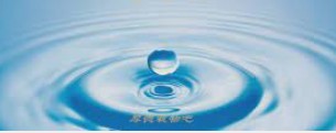 大只马是什么