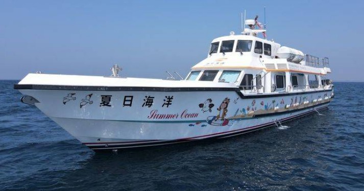 大只500地址