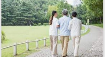 大只500招商