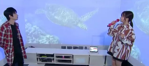大只500开户