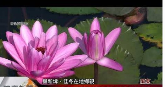 加入大只500