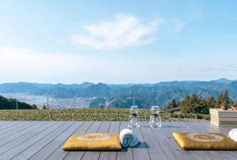 大只500怎么样
