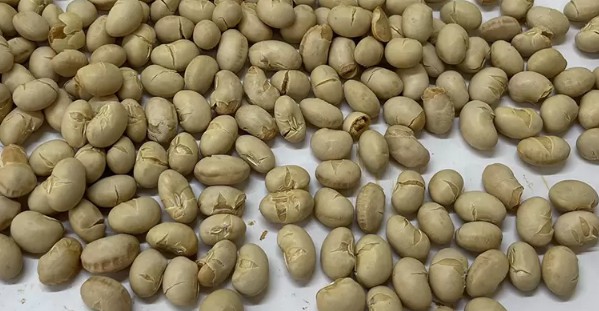 大只500注册