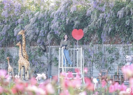 大只500官网